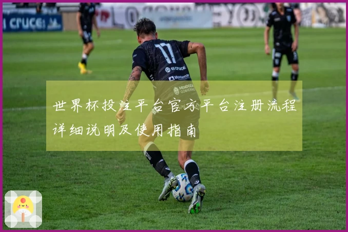 世界杯投注平台官方平台注册流程详细说明及使用指南