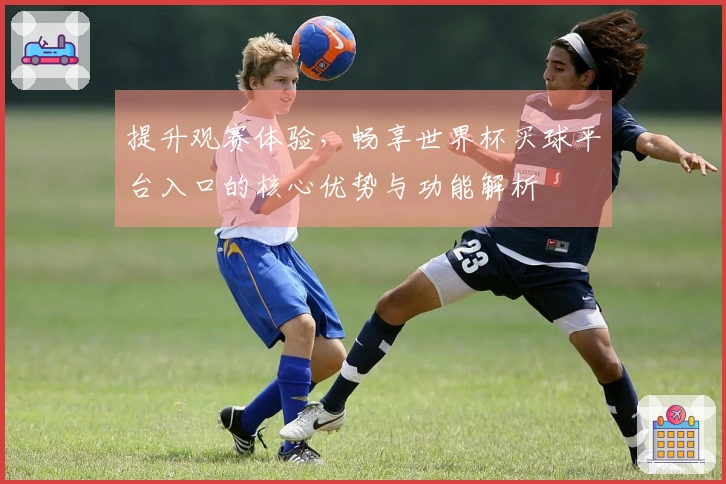 提升观赛体验，畅享世界杯买球平台入口的核心优势与功能解析