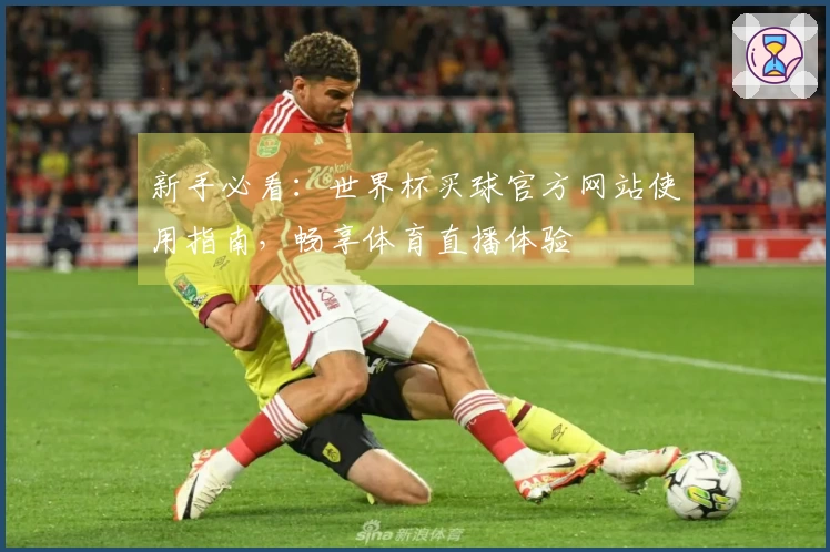 新手必看：世界杯买球官方网站使用指南，畅享体育直播体验