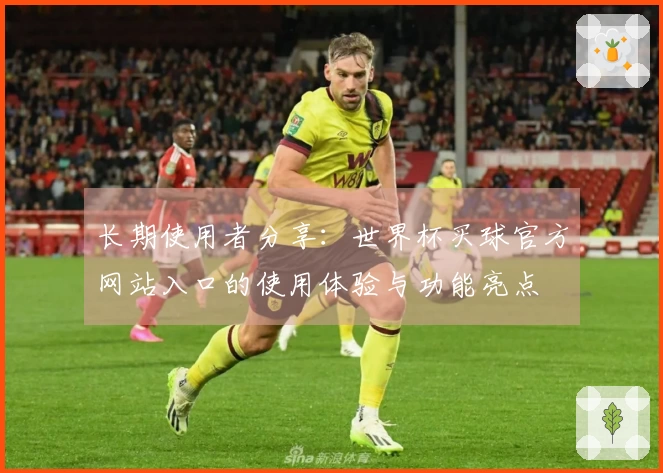 长期使用者分享：世界杯买球官方网站入口的使用体验与功能亮点