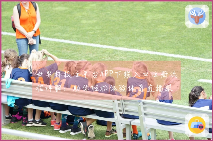 世界杯投注平台APP下载入口注册流程详解，助你轻松体验体育直播服务