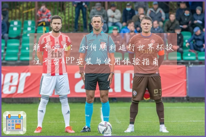 新手必看：如何顺利进行世界杯投注平台APP安装与使用体验指南